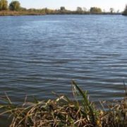 На Прикарпатті у річці втопилась жінка