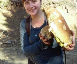 У Карпатах знайшли велетенський білий гриб, вагою 2,4 кг. ФОТОФАКТ