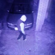 У мережі з’явилося відео, як прикарпатець нищить автівку своєї сестри (ВІДЕО)