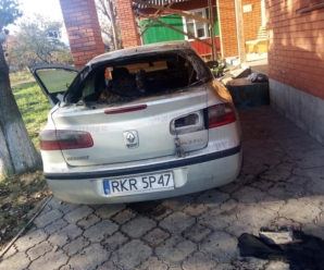 Прикарпатець спалив машину сестри (фото+відео)