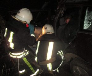 ДТП на Прикарпатті: рятувальники вирізали пасажира з автомобіля