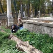 У Коломиї на кладовищі любителі збирають гриби