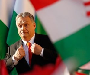 Цілі Угорщини переважають над здоровим глуздом, — дипломат