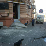 У центрі Франківська людям на голови знову обвалюються фасади будинків (фото)