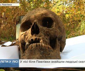 У лісі на Прикарпатті знайшли останки чотирьох людей (відео)
