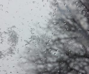 Останній день “бабиного літа”: синоптики прогнозують похолодання з дощами та мокрим снігом