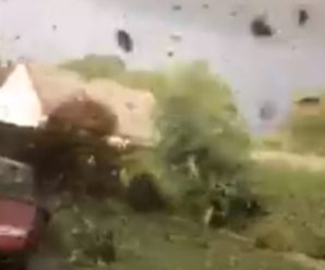 “Зруйнуванні будинки та вирвані з корінням дерева”: опубліковані вражаючі відео і фото буревію під Ужгородом