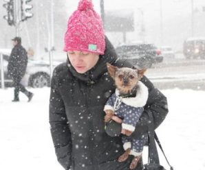 За кілька днів в Україні вдарить сильний мороз та випаде сніг
