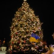 На новорічну ялинку в Прикарпатті витратять 100 тисяч гривень