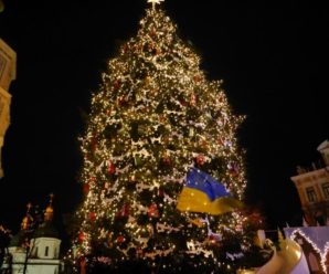 На новорічну ялинку в Прикарпатті витратять 100 тисяч гривень