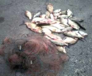 З Бурштинського водосховища витягнули браконьєрські сіті з понад 40 кілограмами риби. ФОТО