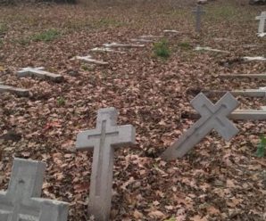 Нічого святого: На Прикарпатті вандали понівечили хрести на польському цвинтарі
