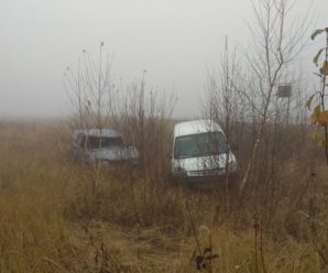На Прикарпатті два автомобілі злетіли з траси і зіткнулися в кюветі (ФОТО)