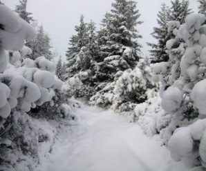 У Карпатах справжня зима (ФОТО)