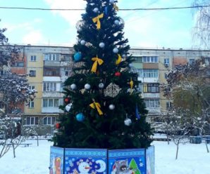 В одному з мікрорайонів Франківська встановили першу новорічну ялинку