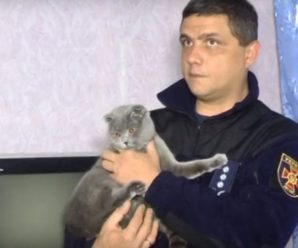 Відкрив очі і нічого не побачив навколо: кішка вpятувала від cмepті українського господаря-pятувальника(відео)