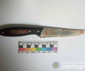 У Нікополі хлопець 18 разів встромив ножа у 13-річну сестру через комп’ютер