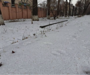 У одному з міст України випав чорний сніг: промовисті фото