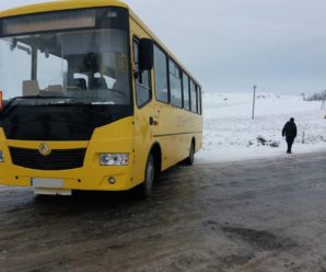 На Прикарпатті шкільний автобус злетів у кювет через ожеледицю (ФОТО)