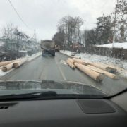 На Прикарпатті водій лісовоза “загубив” свій вантаж посеред дороги (ФОТО)