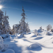 У Карпатах висота снігового покриву досягла 40 см