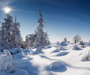 У Карпатах висота снігового покриву досягла 40 см
