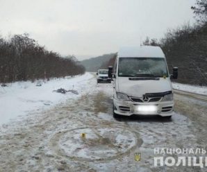 На Тернопільщині водій мікроавтобуса збив на смерть пенсіонера