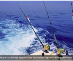 Україна підписала протокол з Росією про риболовлю в Азовському морі