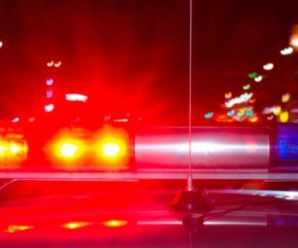 Смертельна ДТП: на Прикарпатті автомобіль на “єврономерах” на смерть збив пішохода