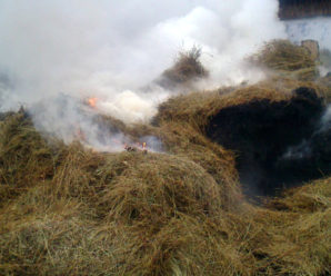 На Надвірнянщині через необережність згоріло дві тонни сіна