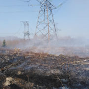 У Франківську через масштабну пожежу вигоріло 50 гектарів лісу