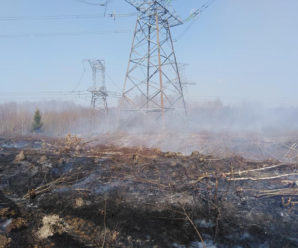 У Франківську через масштабну пожежу вигоріло 50 гектарів лісу