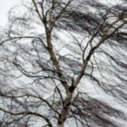 Завтра на Прикарпатті оголосили штормове попередження