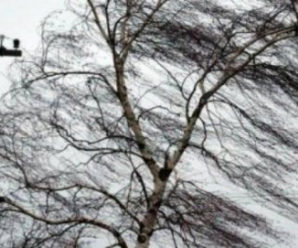Завтра на Прикарпатті оголосили штормове попередження