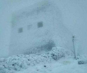 “Видимість обмежена”: В розпал весни Карпати засипало снігом. Рятувальники попереджають про небезпеку