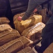 У Румунії хвилями на берег моря винесло 130 кг кокаїну