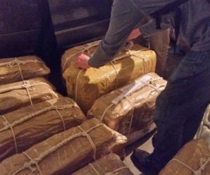 У Румунії хвилями на берег моря винесло 130 кг кокаїну