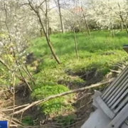 На Прикарпатті десятки будинків провалюються до гірської річки (відео)