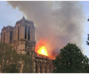 Пожежа у соборі Паризької Богоматері: Україна відправить найкращих реставраторів