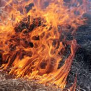 Хотіли спалити траву біля хати: Літнє подружжя згоріло живцем під час паління сухостою