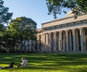 Гарвард на дому. Prometheus запускає онлайн-курси американських університетів українською мовою
