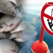 16 прикарпатців постануть перед судом за незаконне рибальство