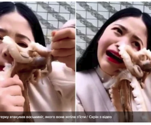 Блогерка хотіла з’їсти живого восьминога в ефірі, але він напав на неї: відео