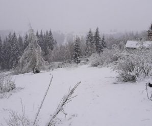 Товщина снігу на Прикарпатті сягнула 15 сантиметрів