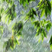 Сьогодні на Прикарпатті очікуються сильні дощі, гроза і град