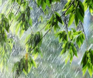 Сьогодні на Прикарпатті очікуються сильні дощі, гроза і град