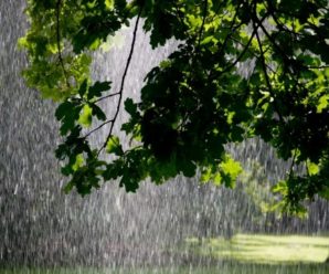 До +30, дощі, загроза врожаю: синоптик дав прогноз погоди на травень
