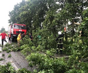 Негода повалила на Прикарпатті 175 дерев та пошкодила дахи на будинках
