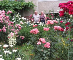 На Івано-Франківщині подружжя засадило двір сотнями квітів