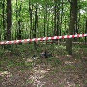 На Прикарпатті у лісі знайшли тіло чоловіка, який зник напередодні